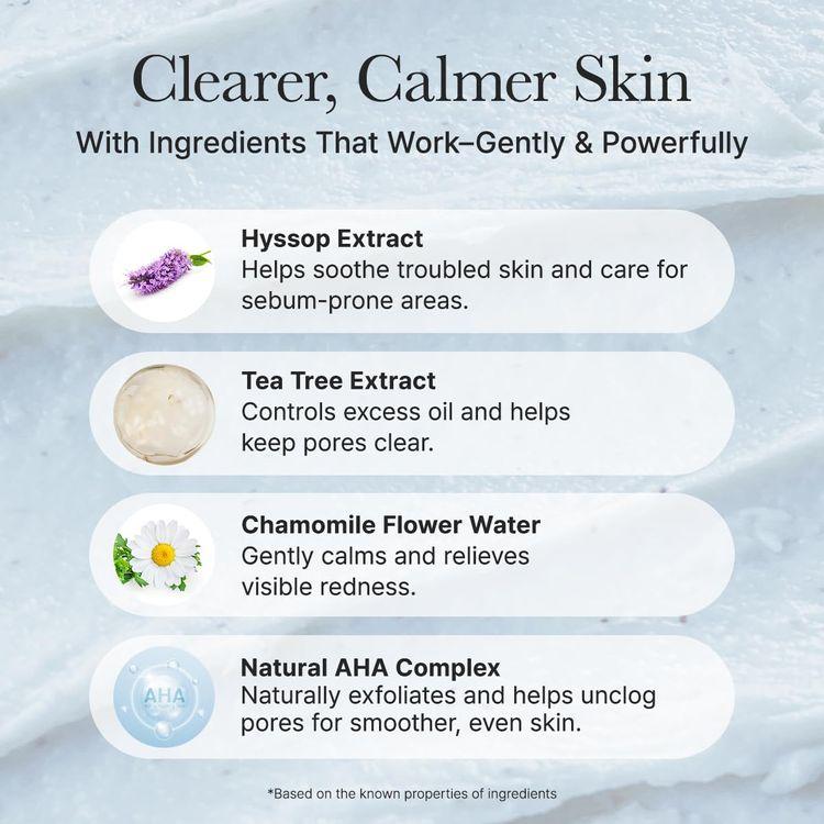 Arencia Hyssop Sebum Control Rice Cake Cleanser 150g