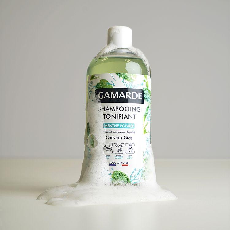 Gamarde 2405 Sampon Za Masnu Kosu 500ml